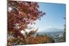 Mount Fuji, 3776M, UNESCO World Heritage Site, and Autumn Colours, Honshu, Japan, Asia-Christian Kober-Mounted Photographic Print