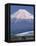 Mount Fuji and Bullet Train (Shinkansen), Honshu, Japan-Steve Vidler-Framed Stretched Canvas