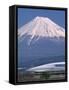 Mount Fuji and Bullet Train (Shinkansen), Honshu, Japan-Steve Vidler-Framed Stretched Canvas