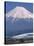 Mount Fuji and Bullet Train (Shinkansen), Honshu, Japan-Steve Vidler-Stretched Canvas