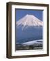 Mount Fuji and Bullet Train (Shinkansen), Honshu, Japan-Steve Vidler-Framed Photographic Print