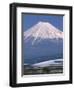 Mount Fuji and Bullet Train (Shinkansen), Honshu, Japan-Steve Vidler-Framed Photographic Print