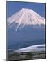 Mount Fuji and Bullet Train (Shinkansen), Honshu, Japan-Steve Vidler-Mounted Photographic Print