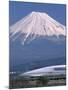 Mount Fuji and Bullet Train (Shinkansen), Honshu, Japan-Steve Vidler-Mounted Photographic Print