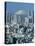 Mount Fuji and City Skyline, Tokyo, Honshu, Japan-null-Stretched Canvas