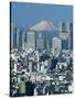 Mount Fuji and City Skyline, Tokyo, Honshu, Japan-null-Stretched Canvas