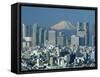 Mount Fuji and City Skyline, Tokyo, Honshu, Japan-null-Framed Stretched Canvas