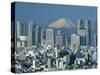 Mount Fuji and City Skyline, Tokyo, Honshu, Japan-null-Stretched Canvas