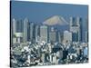 Mount Fuji and City Skyline, Tokyo, Honshu, Japan-null-Stretched Canvas