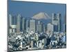 Mount Fuji and City Skyline, Tokyo, Honshu, Japan-null-Mounted Premium Photographic Print