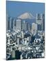 Mount Fuji and City Skyline, Tokyo, Honshu, Japan-null-Mounted Photographic Print