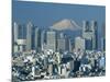 Mount Fuji and City Skyline, Tokyo, Honshu, Japan-null-Mounted Photographic Print