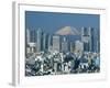 Mount Fuji and City Skyline, Tokyo, Honshu, Japan-null-Framed Photographic Print