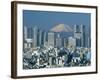 Mount Fuji and City Skyline, Tokyo, Honshu, Japan-null-Framed Photographic Print