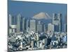 Mount Fuji and City Skyline, Tokyo, Honshu, Japan-null-Mounted Photographic Print