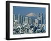 Mount Fuji and City Skyline, Tokyo, Honshu, Japan-null-Framed Photographic Print