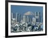 Mount Fuji and City Skyline, Tokyo, Honshu, Japan-null-Framed Photographic Print