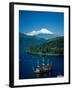 Mount Fuji and Lake Ashi, Hakone, Honshu, Japan-Steve Vidler-Framed Photographic Print