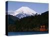 Mount Fuji and Lake Ashi-null-Stretched Canvas
