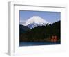 Mount Fuji and Lake Ashi-null-Framed Photographic Print