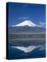 Mount Fuji and Lake Yamanaka, Honshu, Japan-null-Stretched Canvas