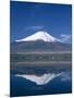 Mount Fuji and Lake Yamanaka, Honshu, Japan-null-Mounted Photographic Print