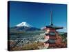 Mount Fuji and Pagoda, Hakone, Honshu, Japan-Steve Vidler-Stretched Canvas