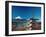 Mount Fuji and Pagoda, Hakone, Honshu, Japan-Steve Vidler-Framed Premium Photographic Print