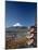 Mount Fuji and Pagoda, Honshu, Japan-Steve Vidler-Mounted Photographic Print