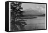 Mount Fuji and Surrounding Landscape-null-Framed Stretched Canvas