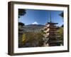 Mount Fuji and Temple, Fuji-Hakone-Izu National Park, Japan-Gavin Hellier-Framed Photographic Print