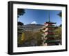 Mount Fuji and Temple, Fuji-Hakone-Izu National Park, Japan-Gavin Hellier-Framed Photographic Print