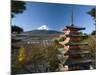 Mount Fuji and Temple, Fuji-Hakone-Izu National Park, Japan-Gavin Hellier-Mounted Photographic Print