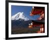 Mount Fuji and the Upper Levels of a Temple, Fuji-Hakone-Izu National Park, Central Honshu, Japan-Gavin Hellier-Framed Photographic Print