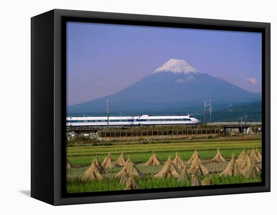 Mount Fuji, Bullet Train and Rice Fields, Fuji, Honshu, Japan-Steve Vidler-Framed Stretched Canvas