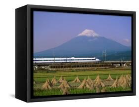 Mount Fuji, Bullet Train and Rice Fields, Fuji, Honshu, Japan-Steve Vidler-Framed Stretched Canvas