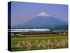 Mount Fuji, Bullet Train and Rice Fields, Fuji, Honshu, Japan-Steve Vidler-Stretched Canvas