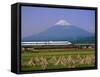 Mount Fuji, Bullet Train and Rice Fields, Fuji, Honshu, Japan-Steve Vidler-Framed Stretched Canvas