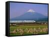 Mount Fuji, Bullet Train and Rice Fields, Fuji, Honshu, Japan-Steve Vidler-Framed Stretched Canvas