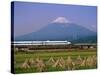 Mount Fuji, Bullet Train and Rice Fields, Fuji, Honshu, Japan-Steve Vidler-Stretched Canvas