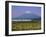 Mount Fuji, Bullet Train and Rice Fields, Fuji, Honshu, Japan-Steve Vidler-Framed Premium Photographic Print