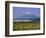 Mount Fuji, Bullet Train and Rice Fields, Fuji, Honshu, Japan-Steve Vidler-Framed Photographic Print