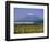 Mount Fuji, Bullet Train and Rice Fields, Fuji, Honshu, Japan-Steve Vidler-Framed Photographic Print