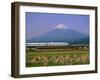 Mount Fuji, Bullet Train and Rice Fields, Fuji, Honshu, Japan-Steve Vidler-Framed Photographic Print