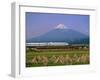 Mount Fuji, Bullet Train and Rice Fields, Fuji, Honshu, Japan-Steve Vidler-Framed Photographic Print