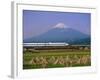 Mount Fuji, Bullet Train and Rice Fields, Fuji, Honshu, Japan-Steve Vidler-Framed Photographic Print