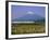 Mount Fuji, Bullet Train and Rice Fields, Fuji, Honshu, Japan-Steve Vidler-Framed Photographic Print