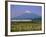 Mount Fuji, Bullet Train and Rice Fields, Fuji, Honshu, Japan-Steve Vidler-Framed Photographic Print