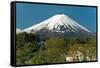 Mount Fuji from Kawaguchiko Lake in Japan-Vacclav-Framed Stretched Canvas