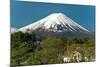 Mount Fuji from Kawaguchiko Lake in Japan-Vacclav-Mounted Photographic Print